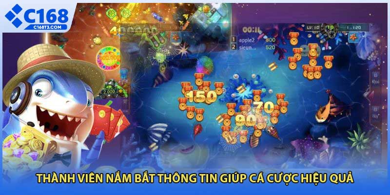 Thành viên nắm bắt thông tin giúp cá cược hiệu quả